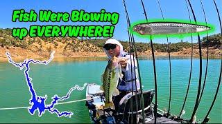 TOPWATER Bite in over 150ft! (Lake Oroville)