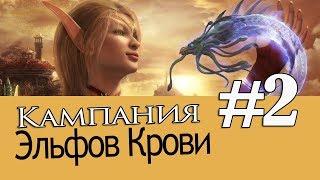 Кампания Эльфов Крови! [Прохождение World of Warcraft #2] Площадь Соколиных Крыльев.1080p