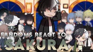 — Fandoms react to Sakura Haruka || SakuSagi || (7/14) || short || ️