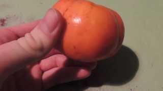 Хурма вяжет - the persimmon fruit!