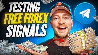 Testing the BEST Free Forex Signals Telegram Groups in 2025