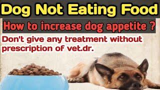 why dog not eating food ? || prevention & causes ||  || by THE PET VISION || 100 % Result.