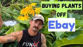 Buy Plants from eBay & Sell for Cash