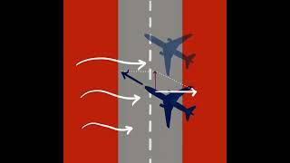 Plane Landing Sidewards | Application of Vectors