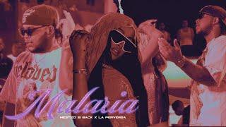 Mestizo Is Back & La Perversa - MALARIA  (Video Oficial)