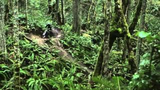 Downhill: Dean Tennant - Spring Cleaning