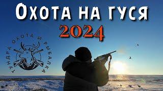 Охота на гуся и утку 2024 север Якутии