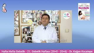 Gebelikte 21. hafta (20+0 20+6) belirtileri. Anne adayı ve bebekte değişiklikler, bebek hareketleri