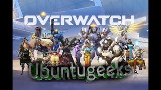 Install Overwatch on Linux (Lutris wine-staging 2.18)