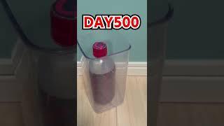 Daily Bottle Flip Challenge day 703 | GENN.