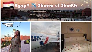 Egypt'24 ️ Sharm el Sheikh | Отдых в отеле Pickalbatros