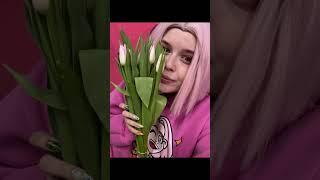 команда аришнева и Бруно 