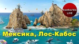 Отдых в Мексике. Курорт Лос-Кабос - обзор и отзывы