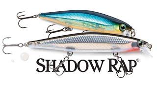 NEW Shadow Rap bait action video BY RAPALA