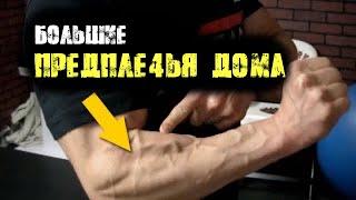 НАКАЧАТЬ ПРЕДПЛЕЧЬЯ ДОМА - тренировка со стулом | Джефф Кавальер