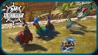 Atlas | Best Way To Tame A Parrot #3 (Atlas Sailvation Gameplay)