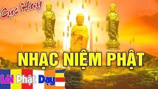 Nhạc Niệm Phật Hay Nhất - Nam Mô A Di Đà Phật - NGHE 5 PHÚT MỖI NGÀY - May Mắn Bình An - Trừ Tà Ma