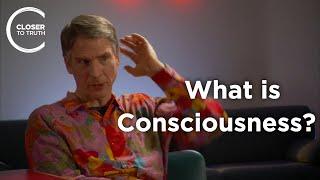 Christof Koch - What Is Consciousness?