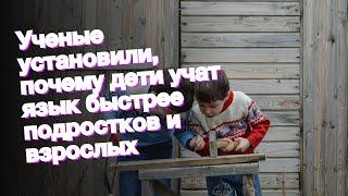 Ученые установили, почему дети учат язык быстрее подростков и взрослых