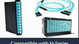 Skinny-Trunk® 24 by CABLExpress® - Comprehensive Fiber Optic Cabling Solution