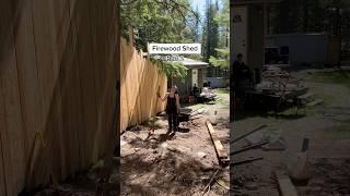 Part 2: cedar trees to build firewood storage at my cabin. Waiting on permits (it’s been 6 weeks )
