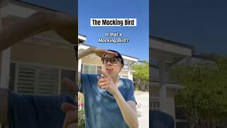 Me vs the Mocking BiRD #TheManniiShow.com/series iB​⁠​⁠@readchoi