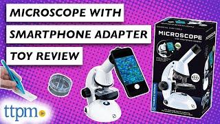 Look Through a Microscope With Your Phone!