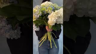 Local Florists #Hydrangea #Flowers #Flower #Bouquet #Flowerstagram #FlowerPhotography #Video