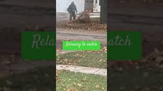The falling leaves