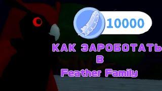 КАК ЗАРОБОТАТЬ ДЕНЕГ В Feather Family!? Roblox/Feather Family