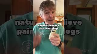 Homemade anti inflammatory paste for dogs!