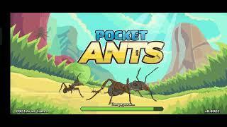 новое существо жук скакун Мантикора pocket ants