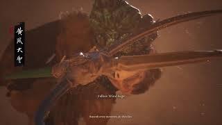 Blackmyth Wukong after Sekiro an elden ring