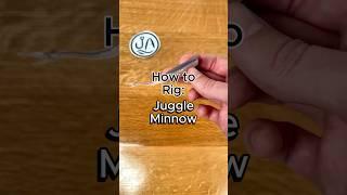 How to rig a Juggle Minnow #fishing #bassfishing #juggleminnow #fishingtips