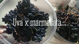 La marmellata d'uva senza aggiunta di zucchero - ricetta di nonna Amalia - la + buona del mondo #vip