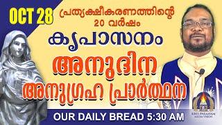 ഒക്ടോബർ 28 | കൃപാസനം അനുദിന അനുഗ്രഹ പ്രാർത്ഥന | Our Daily Bread |പ്രത്യക്ഷീകരണത്തിന്റെ ഇരുപതാം വർഷം.