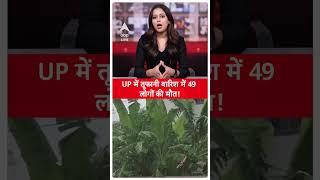 UP Weather News: UP में तूफानी बारिश में 49 लोगों की गई जान!  | ABP NEWS SHORTS
