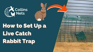 How to Set Up a Live Catch Rabbit Trap | Collins Nets