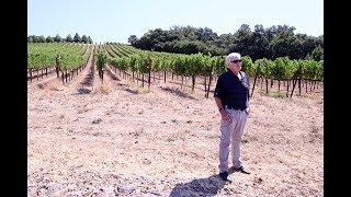 Vegas Golden Knights owner Bill Foley talks about the hockey season and his winery