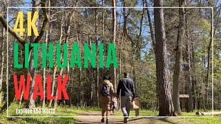 【4K】 Lithuania Forest Walk - Karmazinai Hiking Trail in Karmazinai near Vilnius | Part 1