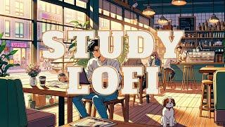 Focus  Study Lofi  lofi hip-hop ~~ [Lofi to Study/Chill/Relax]