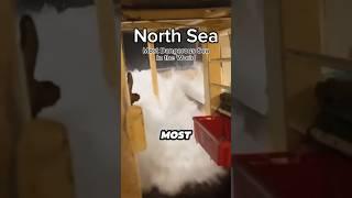 The most dangerous sea #northsea #waves #ocean