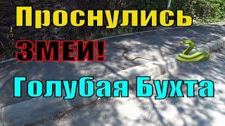 Дикий Пляж Голубая Бухта Геленджик  Прогулка к Морю по Голубой Бухте 