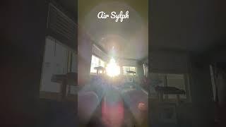Beautiful Air Sylph