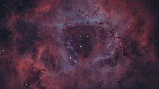 The Rosette Nebula