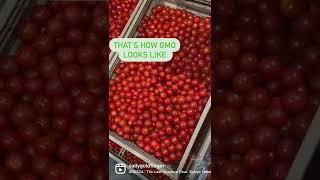 How does GMO vegetables look like?