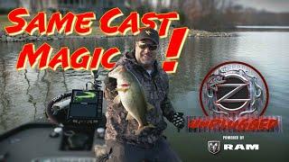 Redeye Shad Springtime Bass Fishing Magic -Zona Unplugged Episode #9