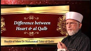 Difference Between Heart & al Qalb | Shaykh-ul-Islam Dr Muhammad Tahir ul Qadri