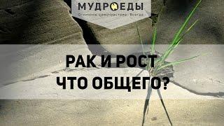 Рак и Рост, что общего?