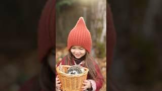 Sweet Moments With Prickly Pal #hedgehog #autumnvibes